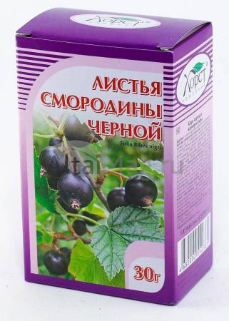 Хорст листья смородины черной. d4ffc23bb93488011c83eaf042bc0523. Хорст листья смородины черной фото. Хорст листья смородины черной-d4ffc23bb93488011c83eaf042bc0523. картинка Хорст листья смородины черной. картинка d4ffc23bb93488011c83eaf042bc0523. При атеросклерозе, авитаминозах, истощающих хронических заболеваниях, гипертонической болезни и повышенной ломкости капилляров, при ревматизме, подагре, гастритах, геморрое, болезнях печени и почек, при простудных заболеваниях, нейродермитах, экземах, диатезах.